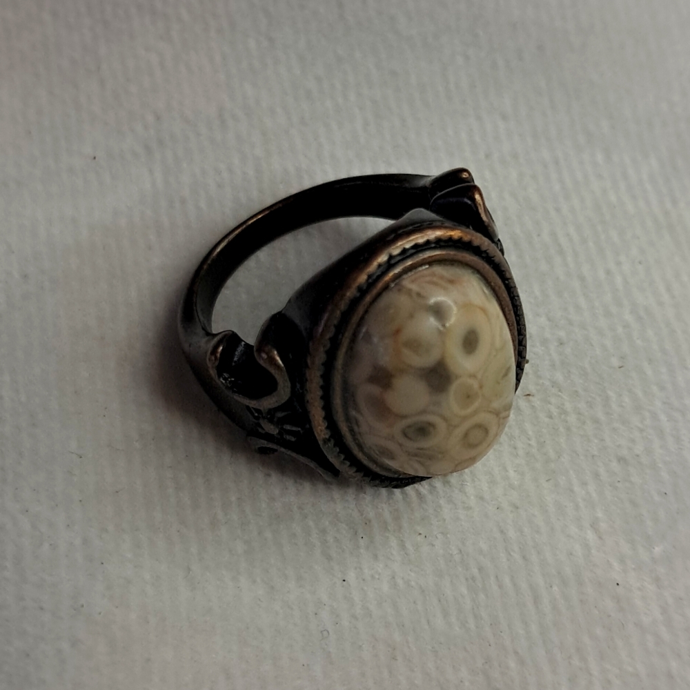 Natural Crinoid Fossil Jasper Ring in Solid Copper